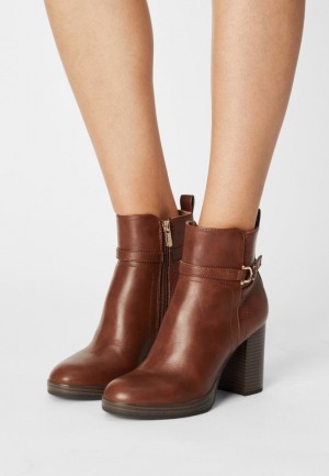 Clenkove Topanky Anna Field Klasické Ankle Boots Damske Hnede | 509-MPCHZQ