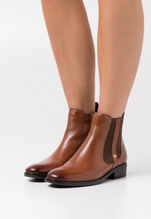Clenkove Topanky Anna Field Klasické Ankle Boots Damske Hnede | 085-JCLKAO