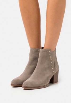 Clenkove Topanky Anna Field Kozene Ankle Boots Damske Siva Hnede | 425-OIXWVA