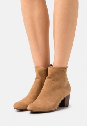 Clenkove Topanky Anna Field Kozene Ankle Boots Damske Béžové | 234-KYCHOD