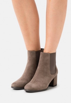 Clenkove Topanky Anna Field Kozene Klasické Ankle Boots Damske Siva Hnede | 285-UKSXOI