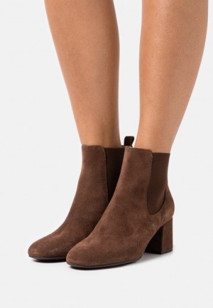 Clenkove Topanky Anna Field Kozene Klasické Ankle Boots Damske Hnede | 175-CZETUP