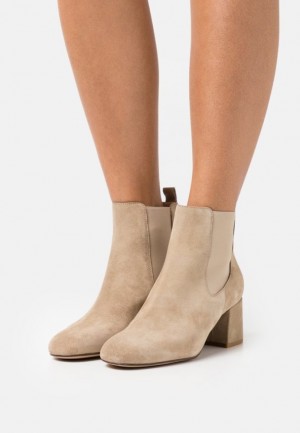 Clenkove Topanky Anna Field Kozene Klasické Ankle Boots Damske Béžové | 730-MLNSIV