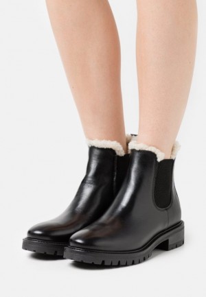 Clenkove Topanky Anna Field Zimná Booties Kozene Klasické Ankle Boots Damske Čierne | 314-QVZPOI