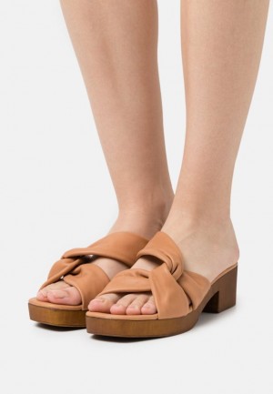 Papuce Anna Field Kozene Clogs Damske Hnede | 325-WOTXKV