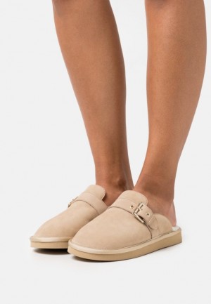 Papuce Anna Field Kozene Slippers Damske Béžové | 245-EXCULY