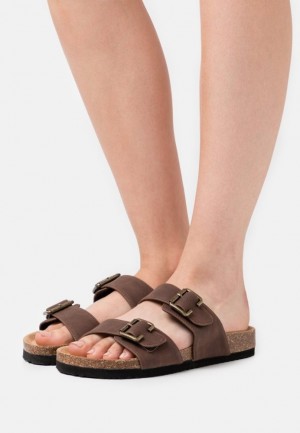 Papuce Anna Field Slippers Damske Tmavo Hnede | 428-FNSUBW