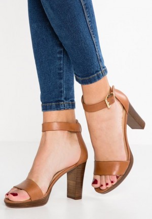 Sandale Anna Field Kozene High Na Podpatku Sandals Damske Hnede | 890-RLHGQN