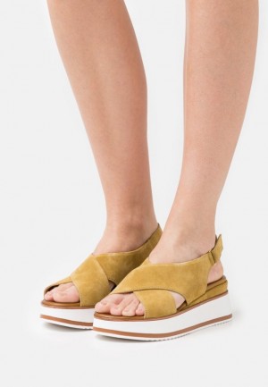 Sandale Anna Field Kozene Platforme Sandals Damske Hnede | 670-HXVZMF