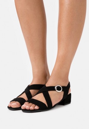 Sandale Anna Field Kozene Sandals Damske Čierne | 950-LIBNTC