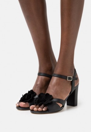 Sandale Anna Field Kozene Sandals Damske Čierne | 925-MOAQGW