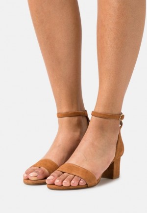 Sandale Anna Field Kozene Sandals Damske Hnede | 194-PVEZMI