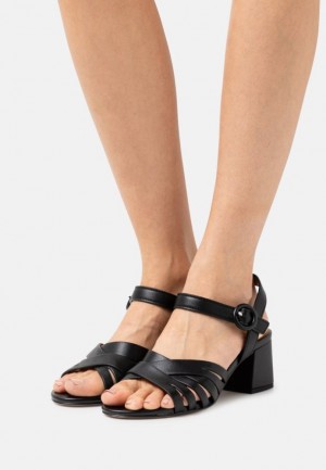 Sandale Anna Field Kozene Sandals Damske Čierne | 153-QOUDSH