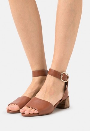 Sandale Anna Field Kozene Sandals Damske Hnede | 783-LONFZB