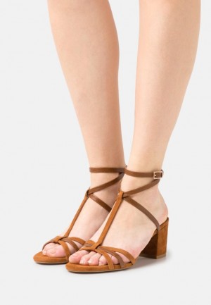 Sandale Anna Field Kozene Sandals Damske Hnede | 726-WOFYZQ