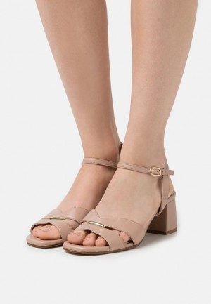 Sandale Anna Field Kozene Sandals Damske Béžové | 647-KXIGWE
