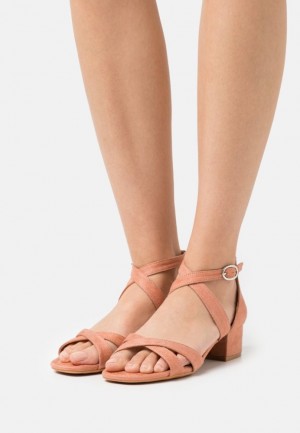 Sandale Anna Field Pohodlie Sandals Damske Koralove | 468-AELKHI