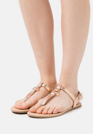Sandale Anna Field T Bar Sandals Damske Ruzove Zlate | 354-WSTDBG