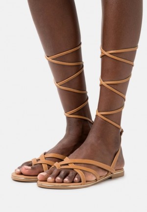 Sandale Anna Field T Bar Sandals Damske Hnede | 263-ZXMVIS