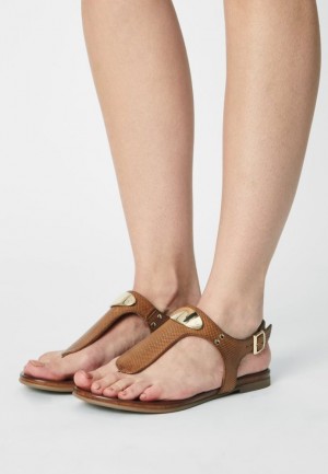 Sandale Anna Field T Bar Sandals Damske Hnede | 820-ALHGRO