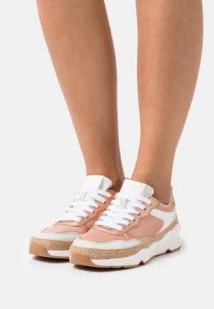 Tenisky Anna Field Trainers Damske Ruzove Zlate | 185-YHIPFJ