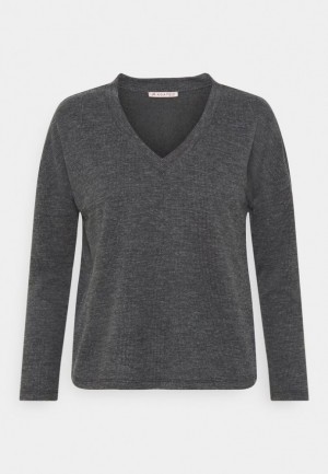 Tricko Anna Field Long Sleeved Top Damske Siva | 185-MSIKCQ